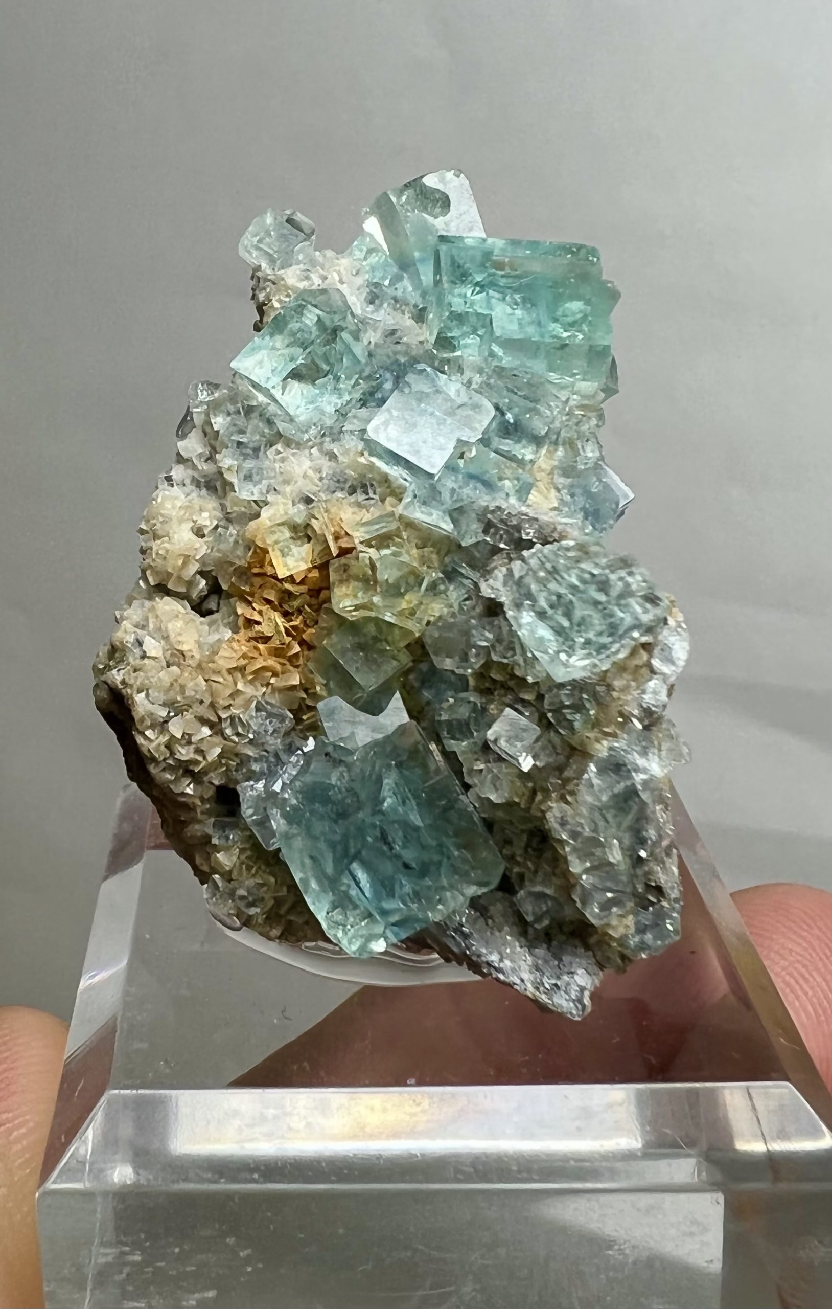 新発売】 m113 ホタル石 Fluorite イギリス産